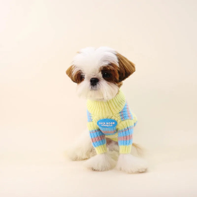 Blue and yellow striped wool dog sweater for small breed dogs in casual style