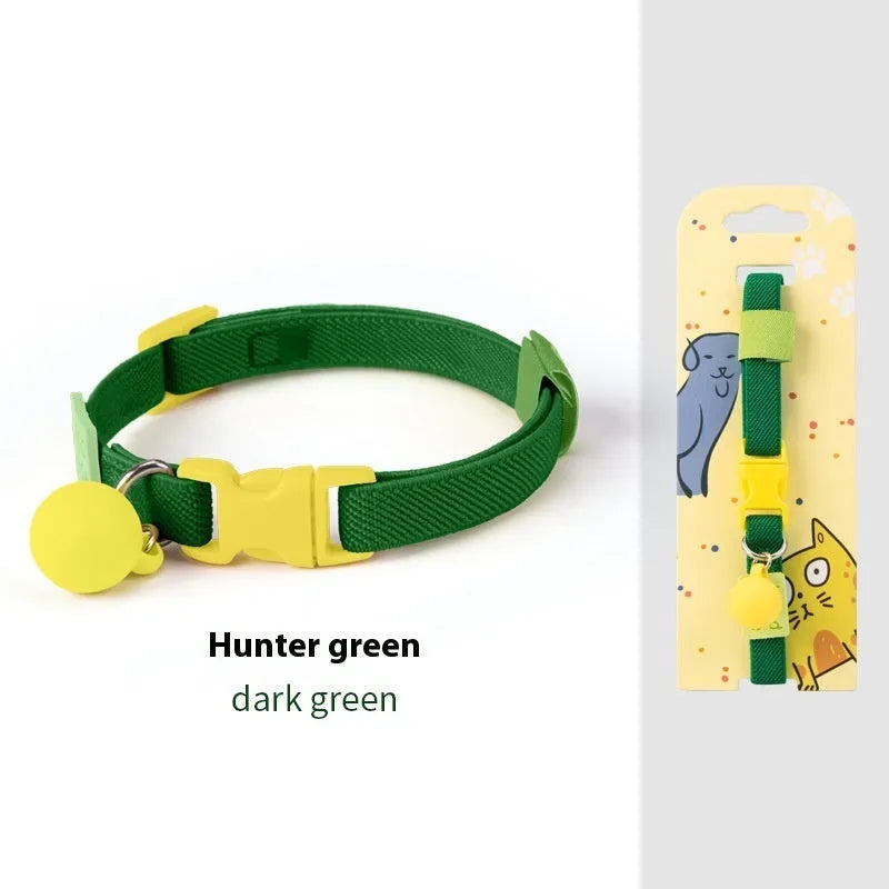 Small dog wearing a high elasticity polyester pet collar in a choice of seven solid colours.