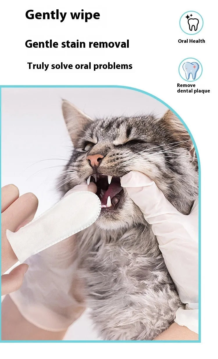 Pack of 50 non-woven pet dental cleaning finger stalls for dogs and cats.