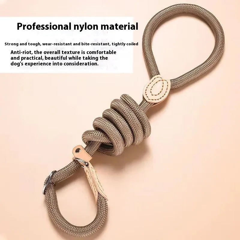 Nylon dog training rope in black, 1.5m length, 1.0cm thickness, on plain background
