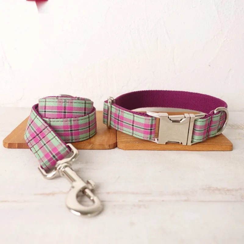 Mint green polyester dog collar and leash set for pet walking