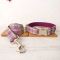 Mint green polyester dog collar and leash set for pet walking