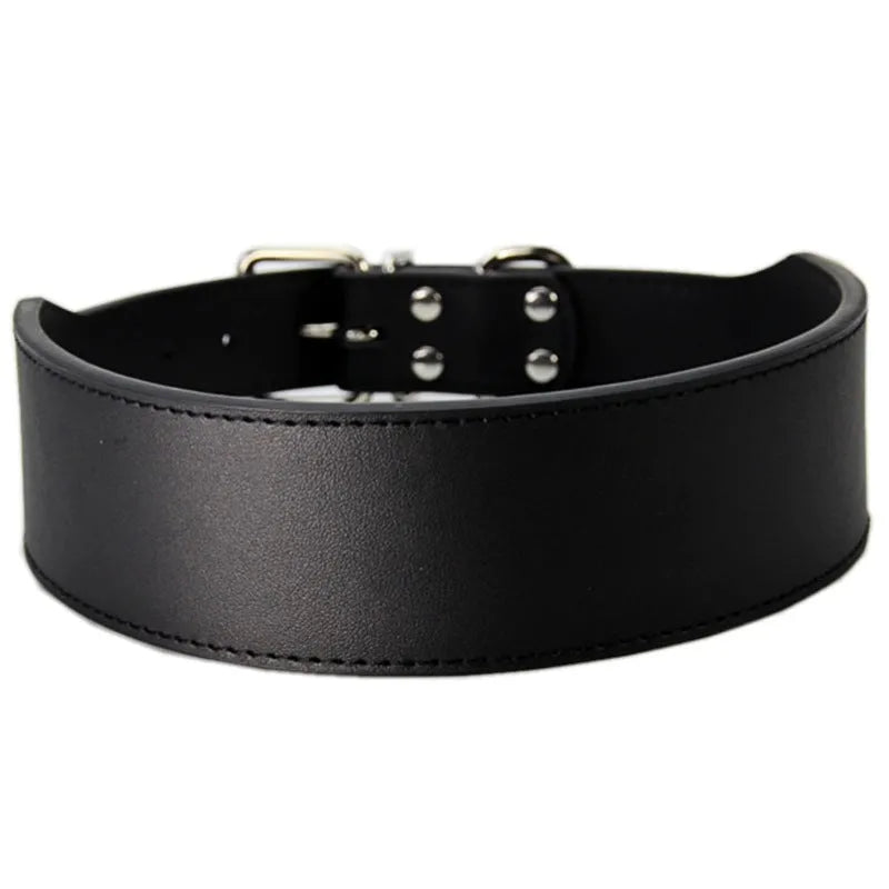 Large dog leather collar with fish-shaped buckle in assorted colours on a white background.