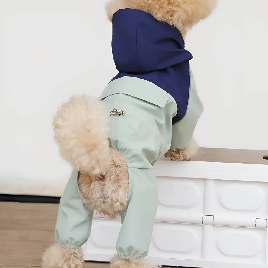 British style khaki polyester waterproof shell jacket on a small dog.