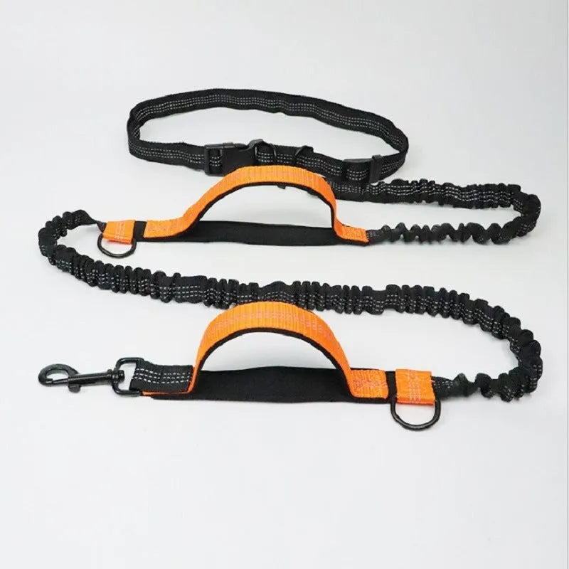 Adjustable dog running belt with retractable leash in blue orange or green colours