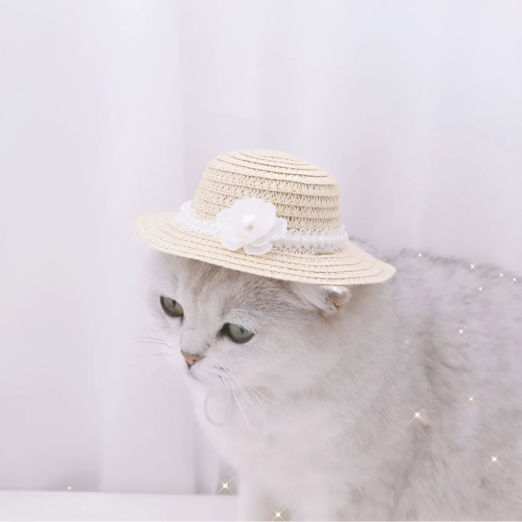Handmade adjustable paper bowknot pet hat for a dog or cat in cartoon style, shown in one of five available colours.