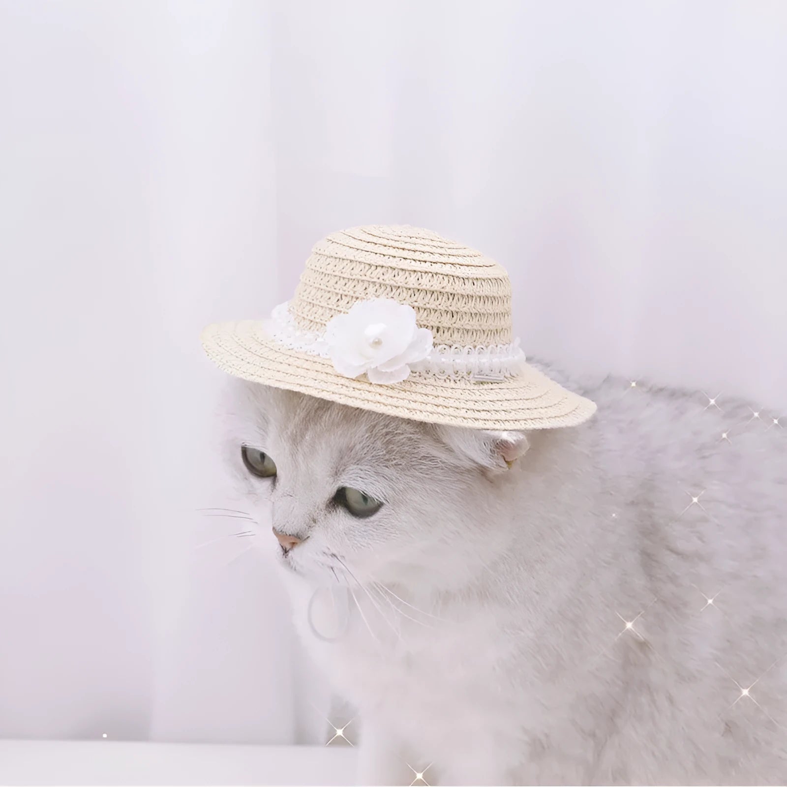 Handmade adjustable paper bowknot pet hat for a dog or cat in cartoon style, shown in one of five available colours.