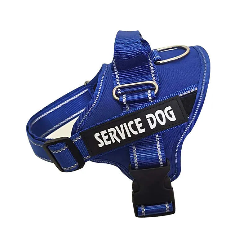 Oxford cloth dog chest strap harness with reflective ribbon and alloy buckle, blue colour, on white background