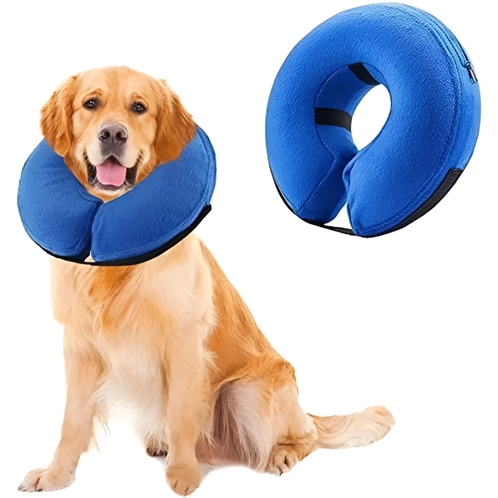 Blue inflatable soft recovery collar for a dog, shown as an alternative to a plastic cone.