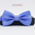 Flat-head polyester bow tie in a solid colour, shown with dimensions 12 cm by 6 cm.