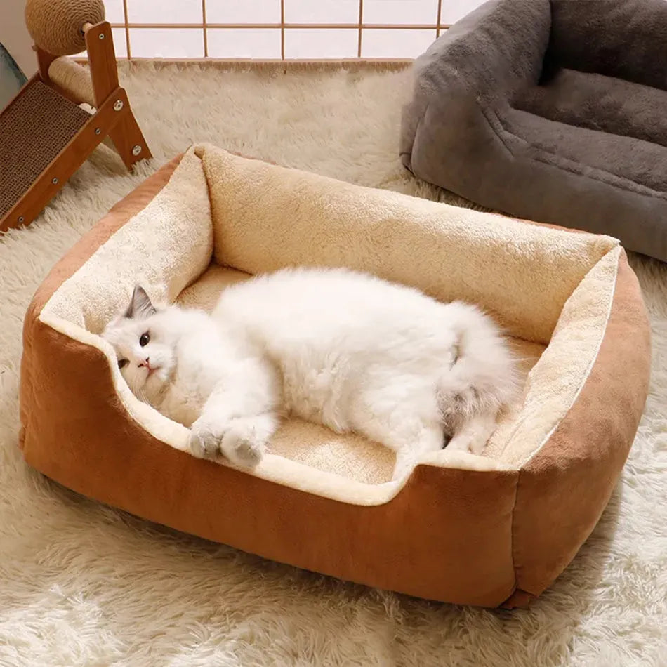 Soft short plush cat bed shown in multiple colours and sizes for kittens, cats, and small dogs.