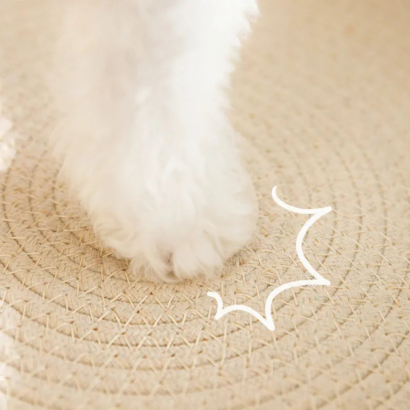 Green oval cat scratch pad bowl bed with sisal scratching surface measuring 650mm by 420mm