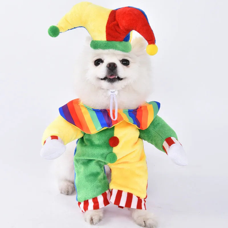 Halloween dog costume selection showing bat suit, devil outfit and pumpkin pack designs