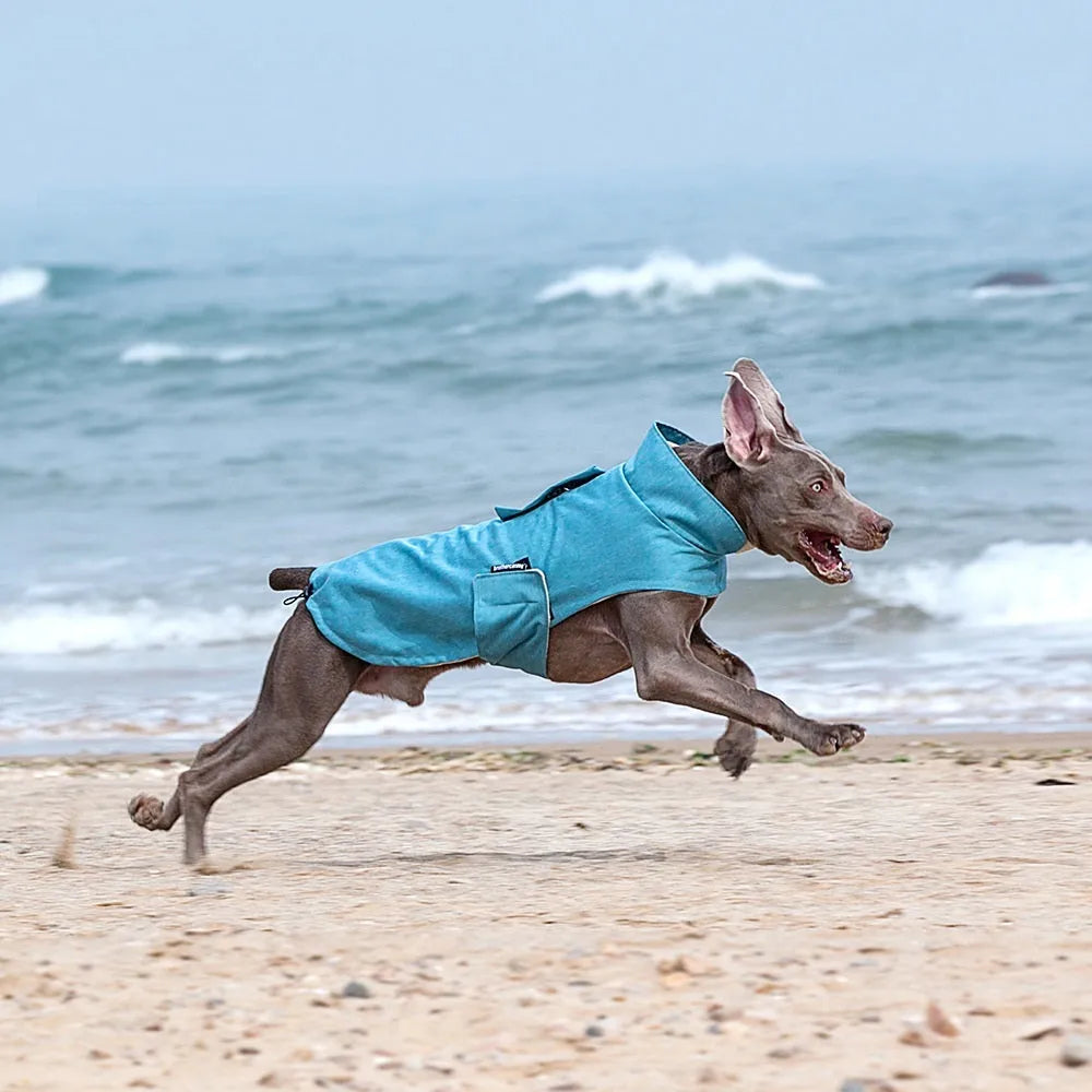 Polyester dog cold-proof vest in rose red, light blue, or grey for medium to large breed dogs