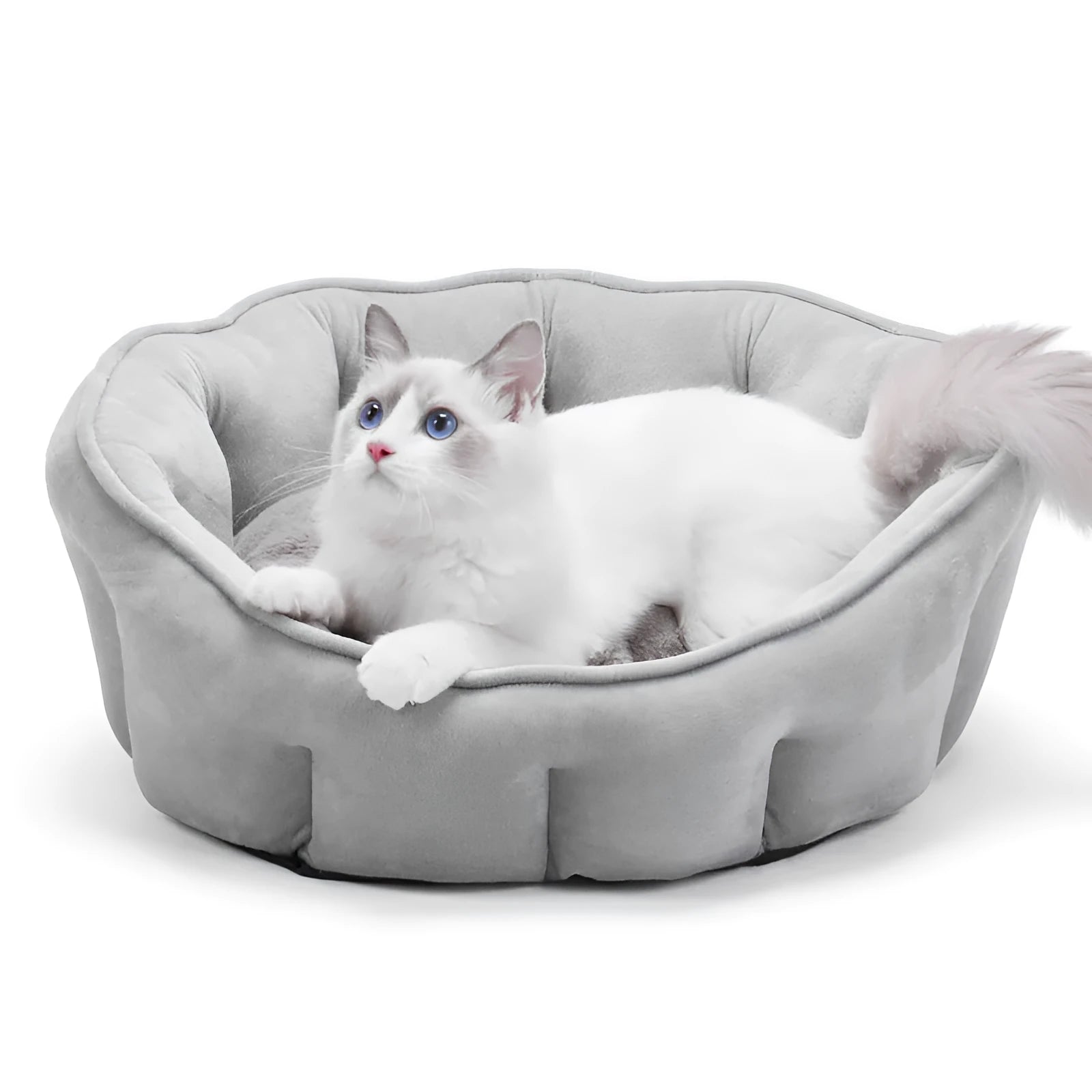 Plush thickened cat kennel mat with integrated house and hammock design in grey colour