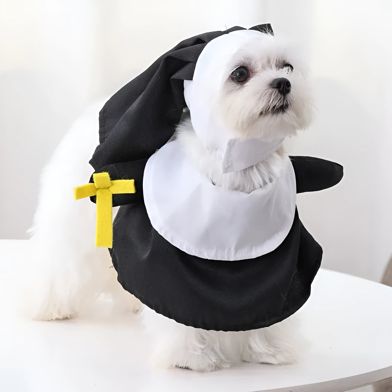Black polyester pet nun Halloween costume for dogs and cats free size