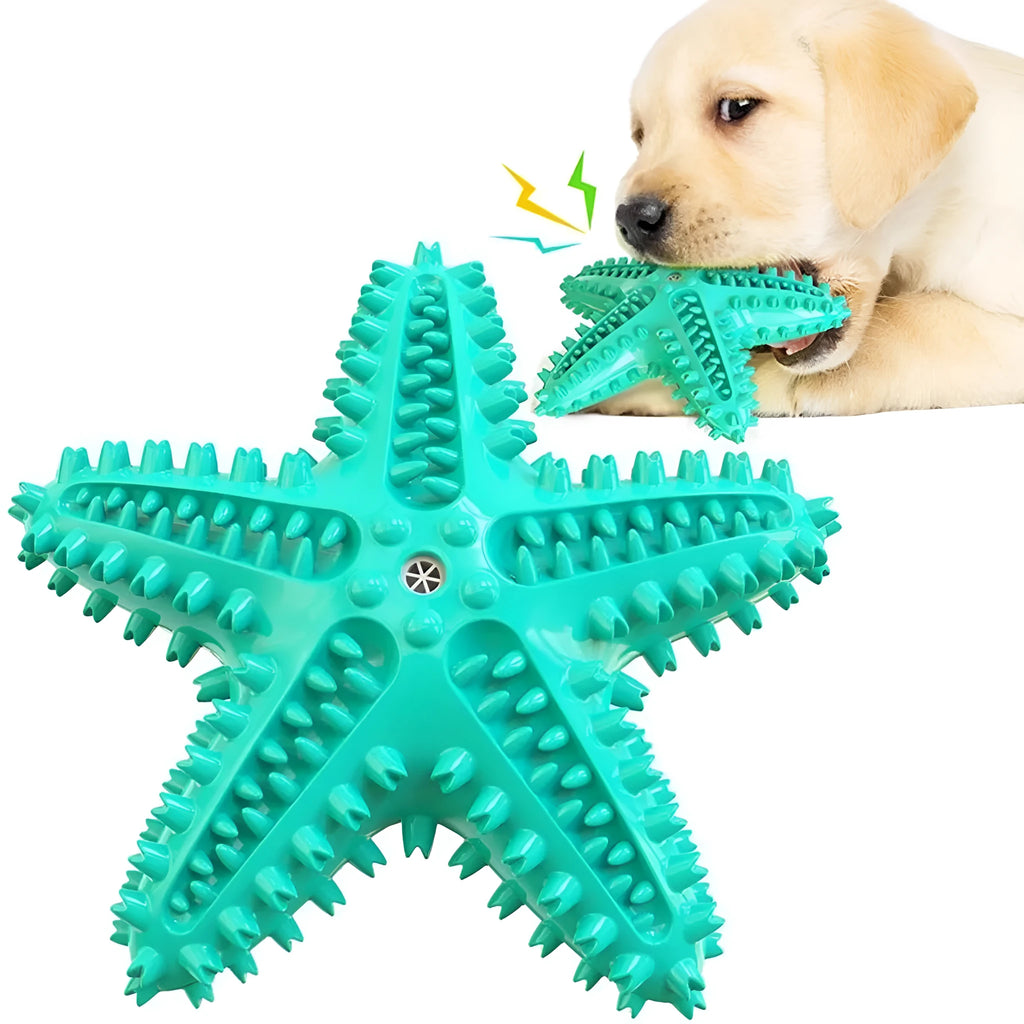 Edible TPR starfish-shaped dog chew toy with squeaker for large breed dental care