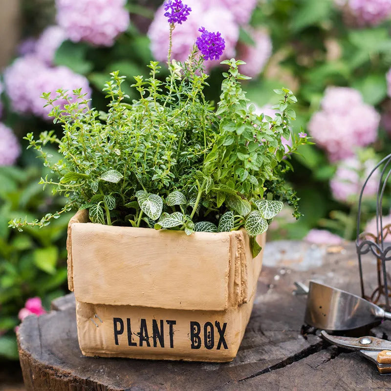Cement brown paper box design flowerpot with pre-punched bottom drainage hole