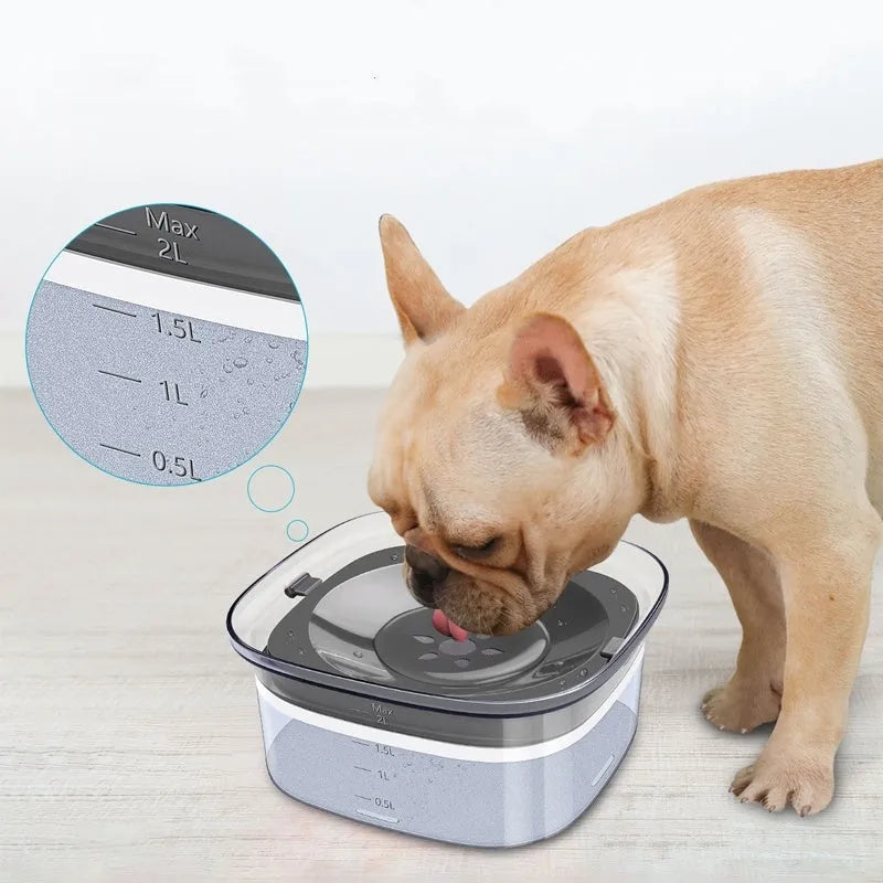 Transparent 2-litre dog water bowl with floating slow-feed disk and non-slip frosted base