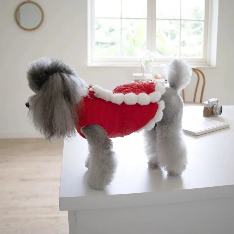 Red cotton dog jumper with Chinese knot design for festive pet clothing