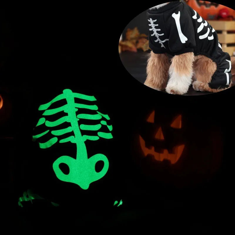 Halloween pet clothing with luminous skull bones pattern on four-legged dog costume