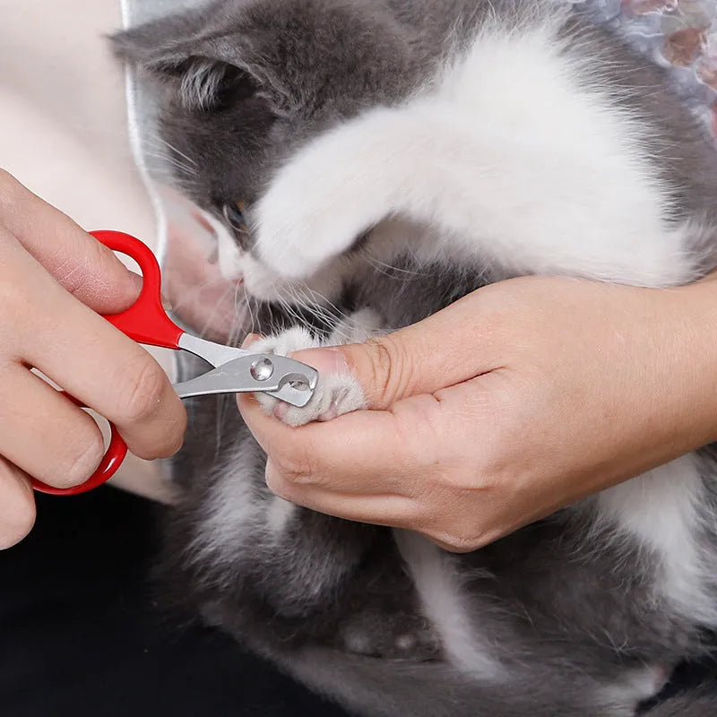 Pet nail clippers with stainless steel blades and a coloured plastic and rubber anti-slip handle.