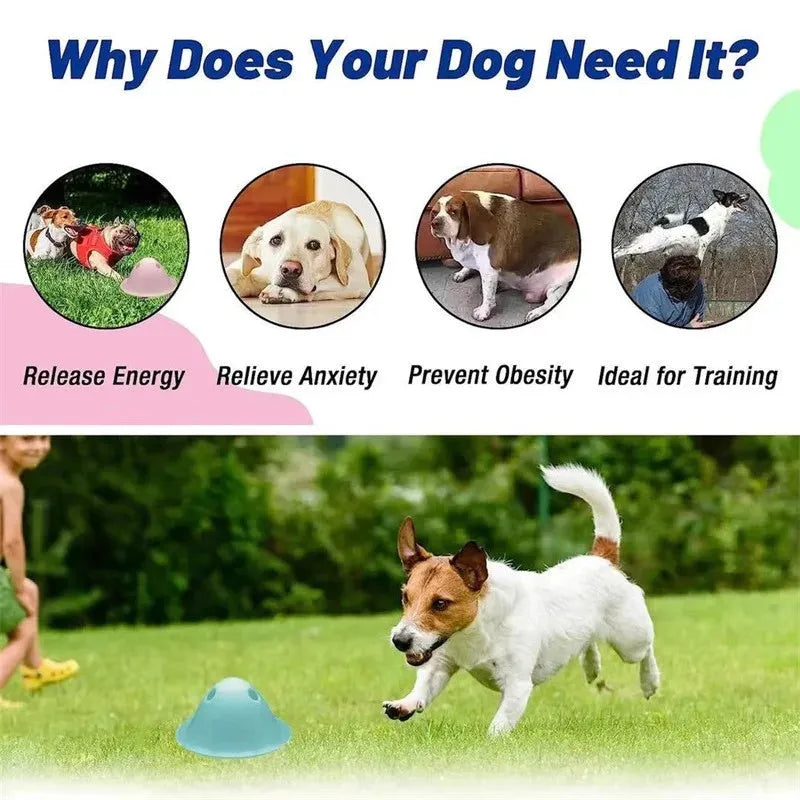Green interactive dog puzzle chew toy with hidden treat slots on a wooden floor.
