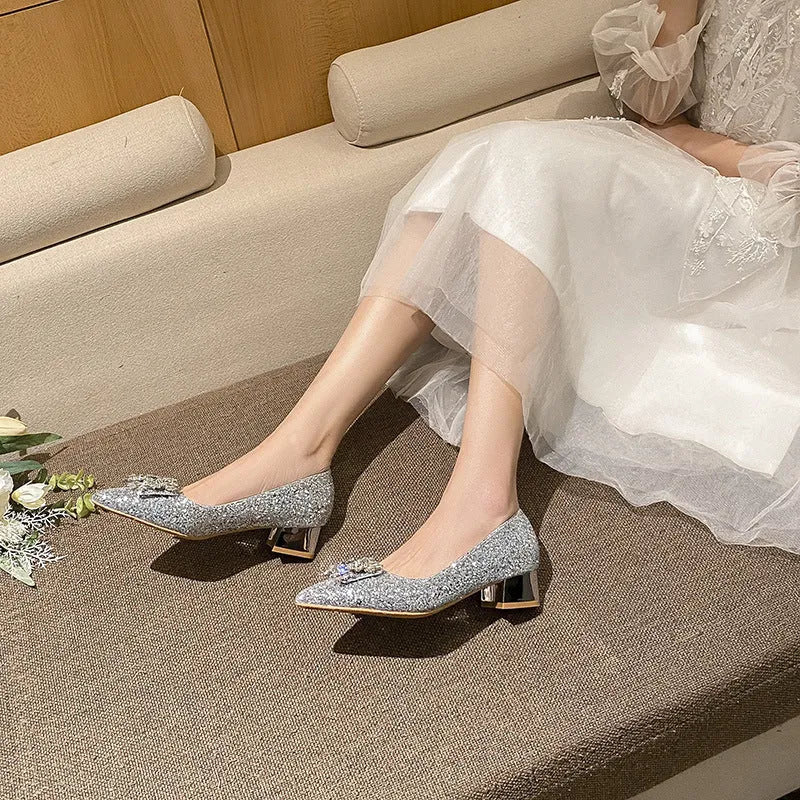 Silver French style mid heel pumps with square buckle, pointed toe, and short stout heel on a clean background