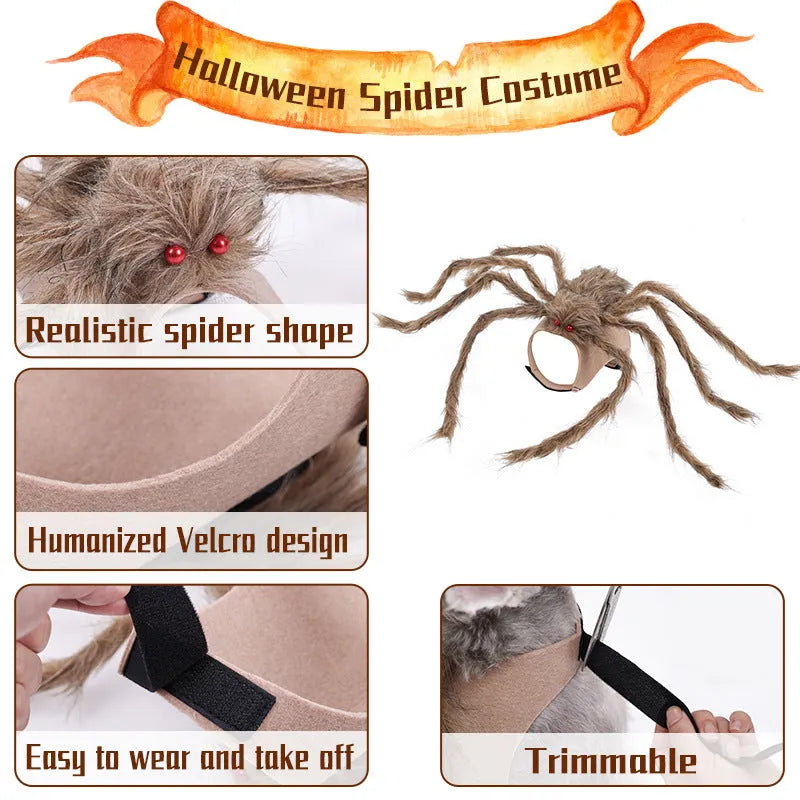 Halloween big spider costume for a dog or cat in grey, brown, black and purple colours.
