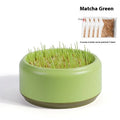 Blue hydroponic cat grass kit with a reusable plastic cup and five packets of wheatgrass seeds.