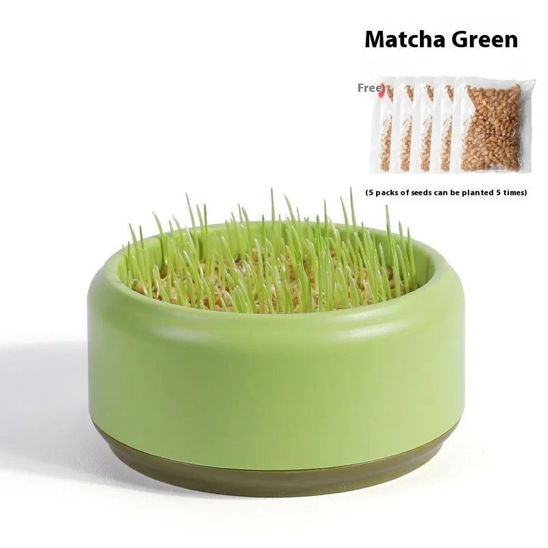 Blue hydroponic cat grass kit with a reusable plastic cup and five packets of wheatgrass seeds.