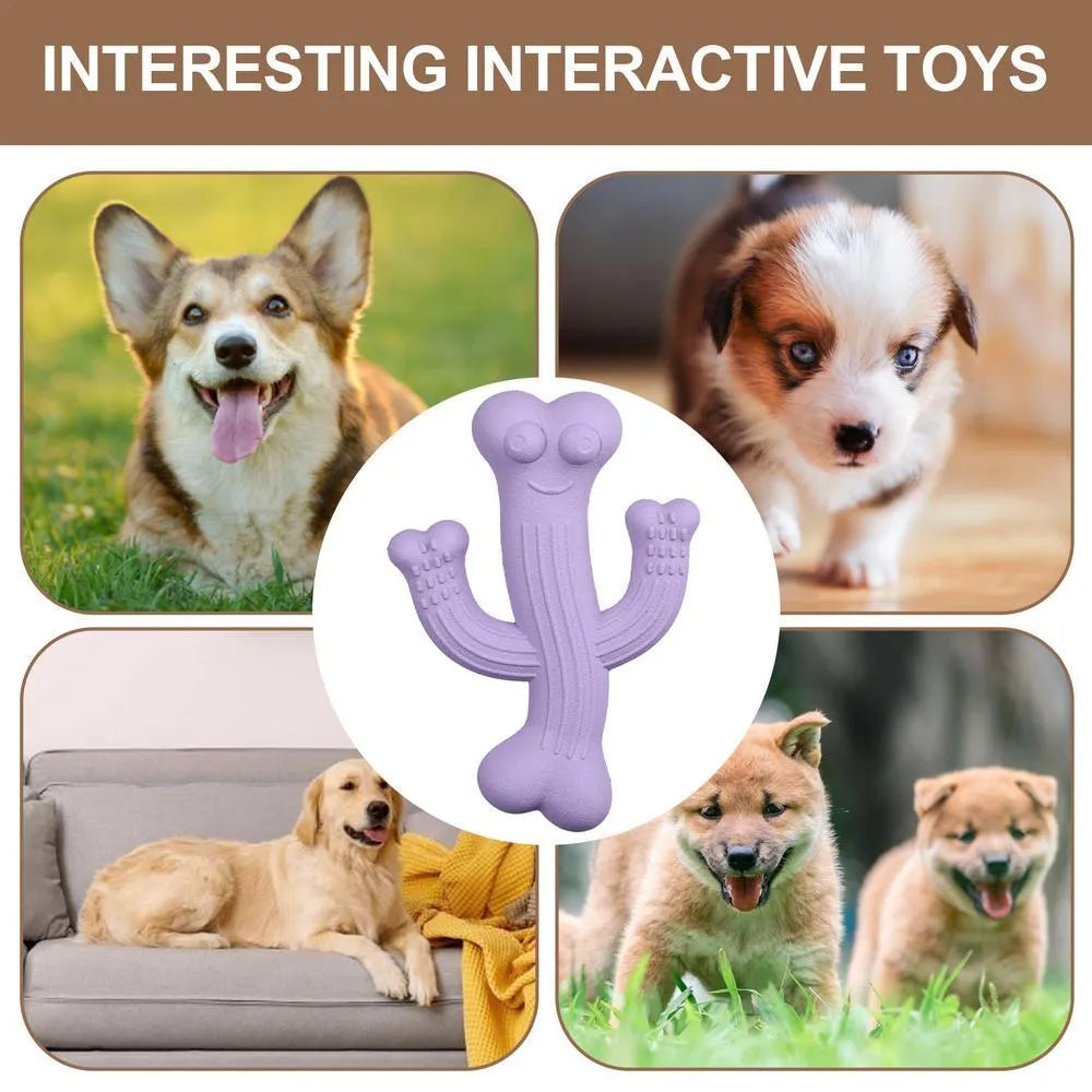 Cactus-shaped dog chew toy in bamboo fibre and rubber available in small and large sizes