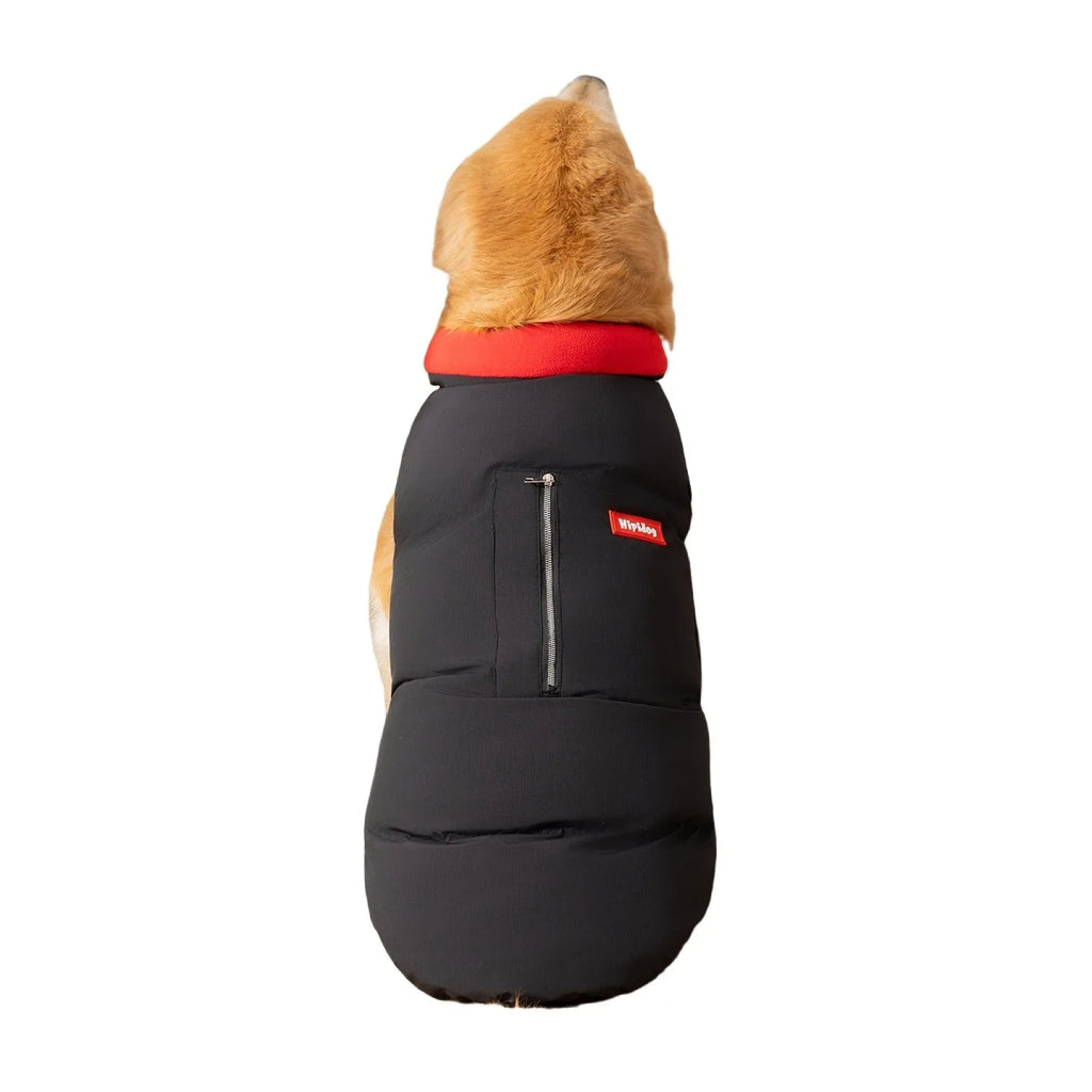 Thick cotton-padded dog vest for large breeds with zipper pocket and red border trim on a Golden Retriever