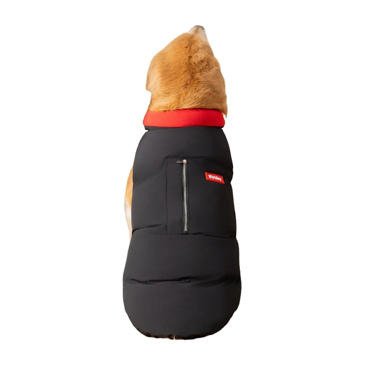 Thick cotton-padded dog vest for large breeds with zipper pocket and red border trim on a Golden Retriever