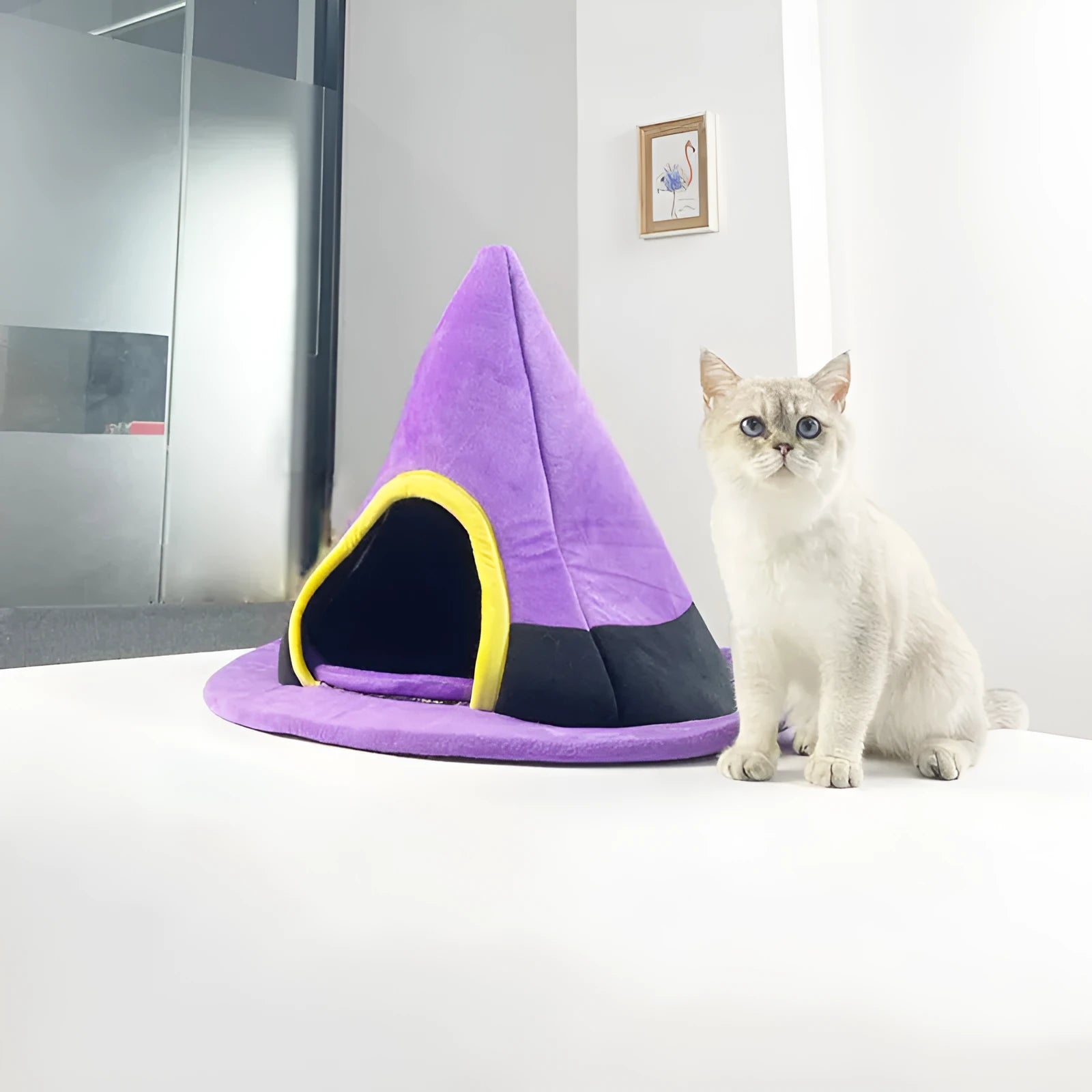 Purple cloth witch hat shaped cat nest bed measuring 60x46cm for indoor feline pets