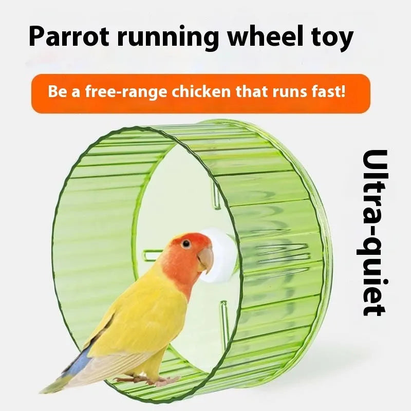 Plastic parrot running wheel toy for birds in various colours with treadmill design