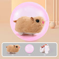 Hamster rolling ball exercise toy with transparent sphere on battery base and plush shell covers