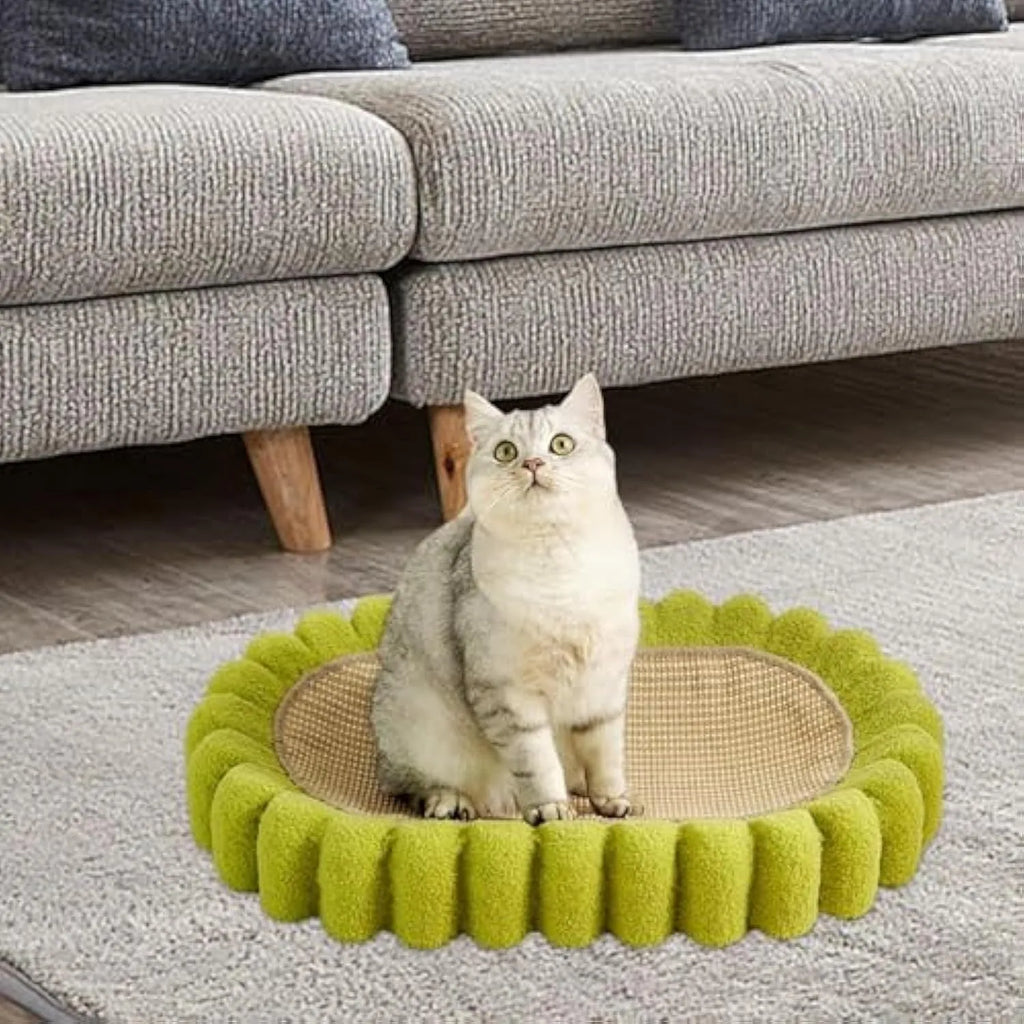 Green oval cat scratch pad bowl bed with sisal scratching surface measuring 650mm by 420mm