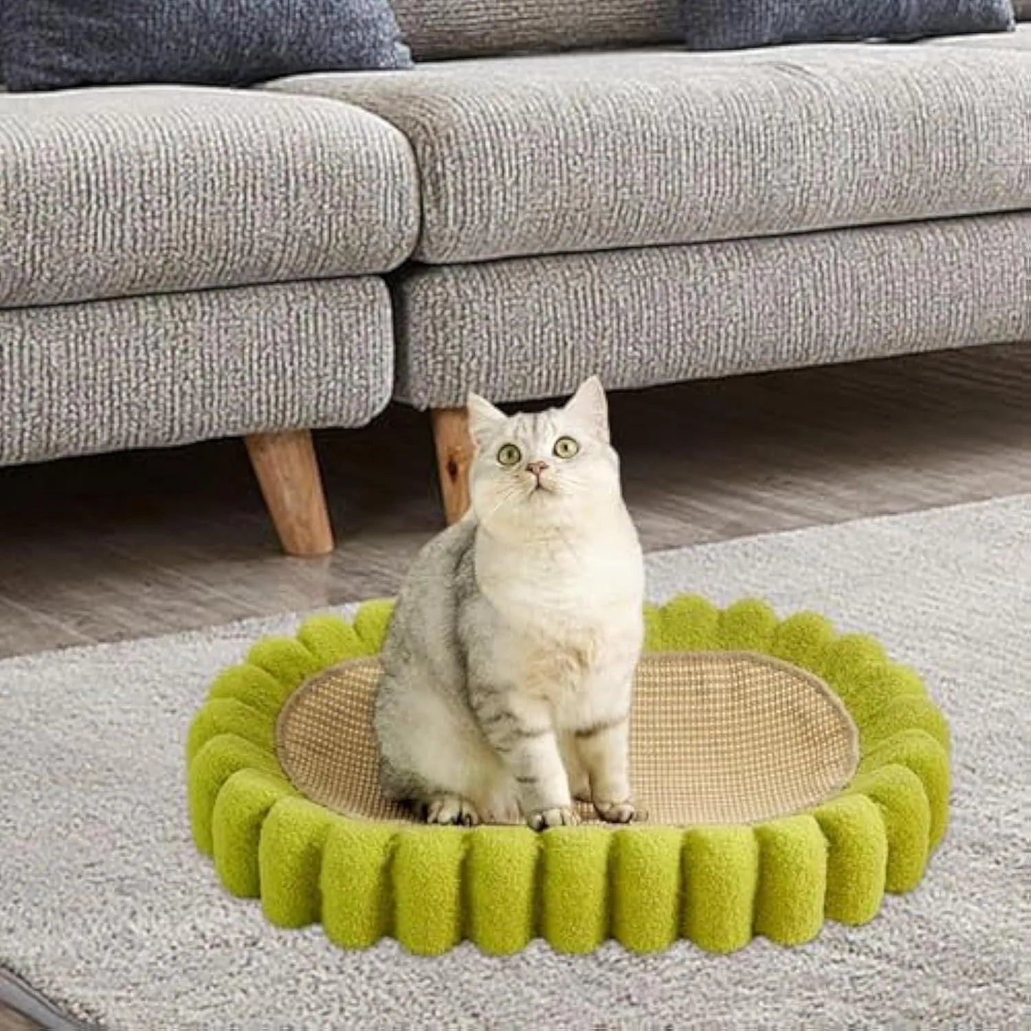 Green oval cat scratch pad bowl bed with sisal scratching surface measuring 650mm by 420mm