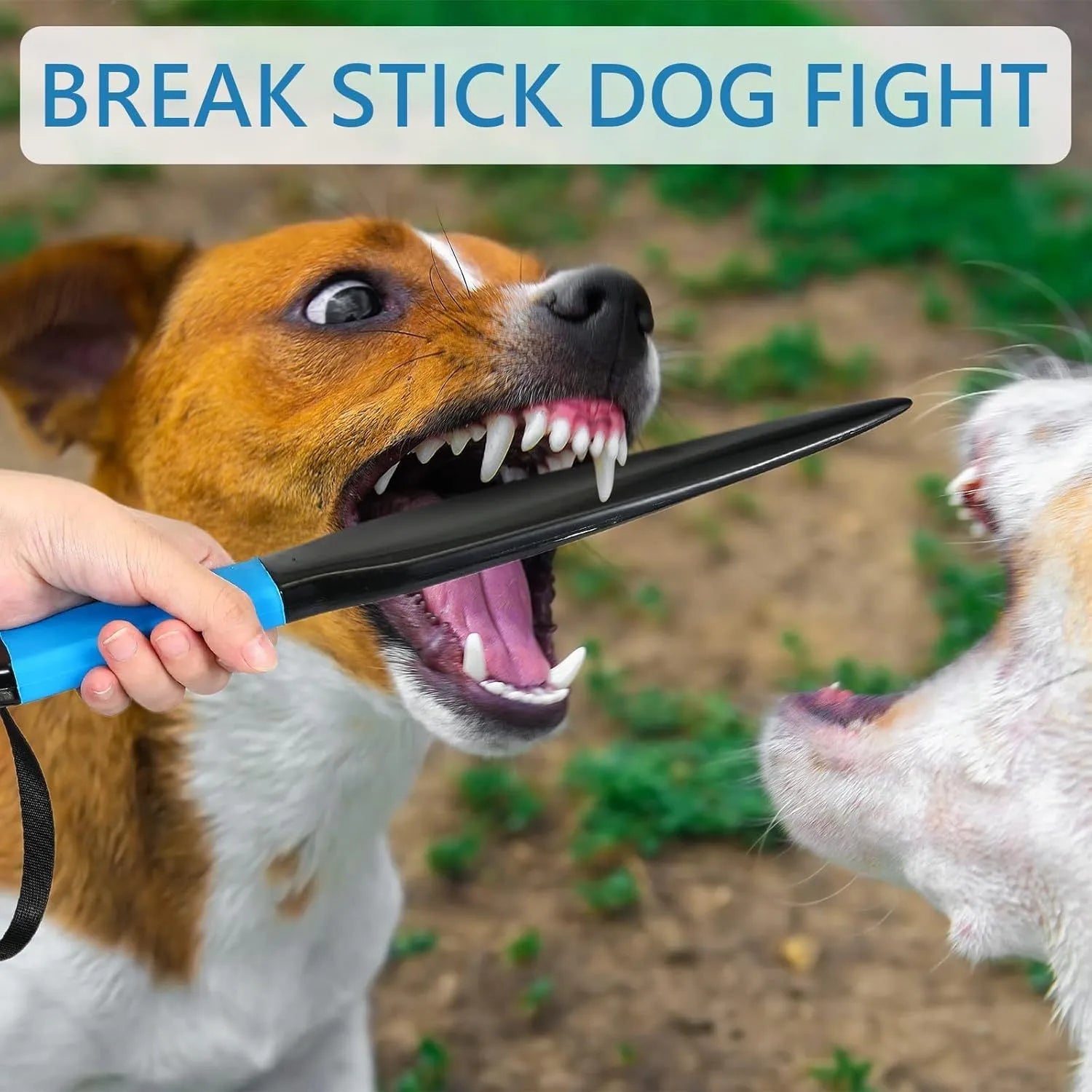 Blue handled nylon dog break stick for training small and medium dogs