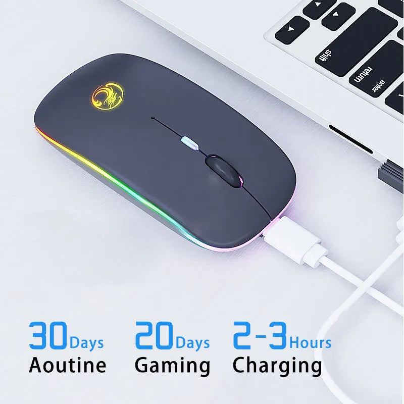Black or white dual-mode wireless silent mouse with rechargeable battery and charging cable.