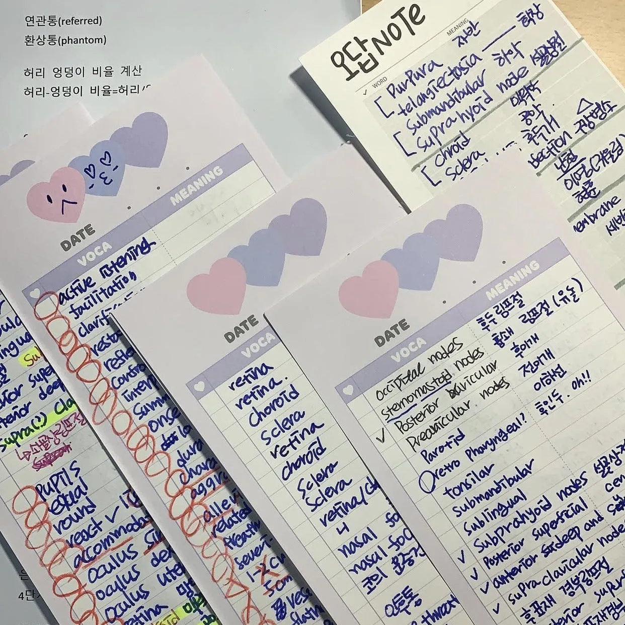 English words notepad with vertical format and blue cover showing B5 half size dimensions