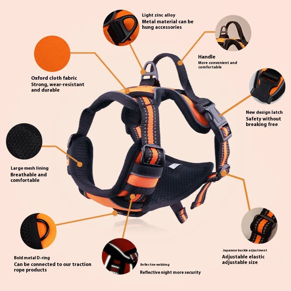 Adjustable outdoor dog harness in Oxford cloth shown in multiple colours and sizes.