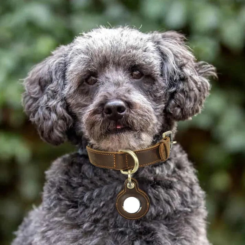Brown handmade double-sided cowhide dog collar with retro styling for positioning and anti-lost tracking