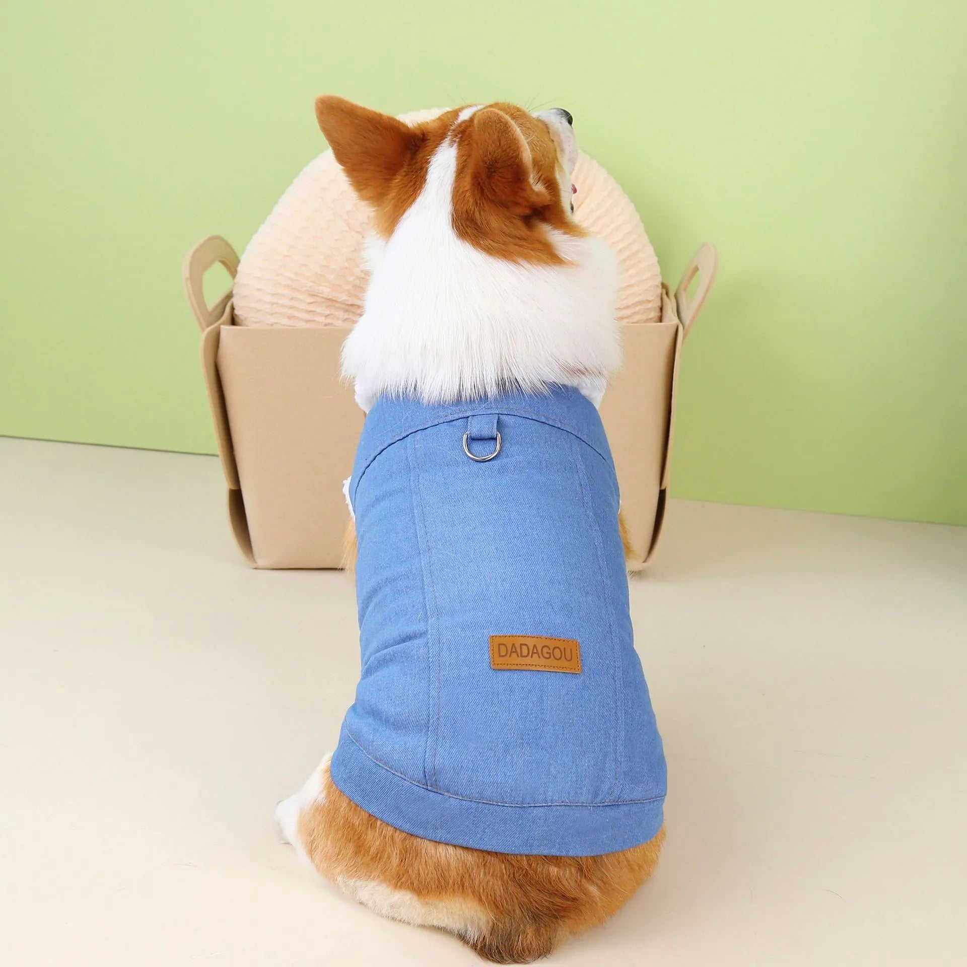 A dark blue denim cotton coat for a Welsh Corgi dog, shown in size L.