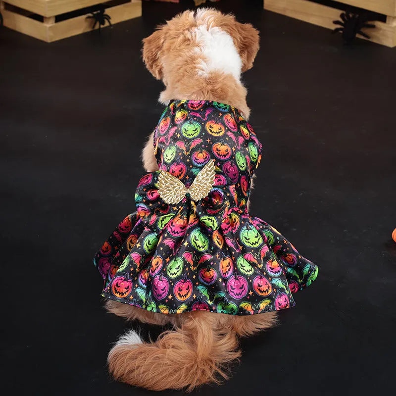 Angel wings Halloween dog costume with bright pumpkin design shown on small dog