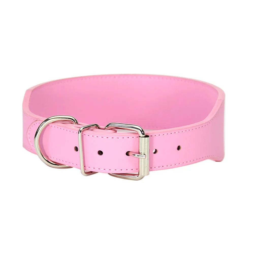 Large dog leather collar with fish-shaped buckle in assorted colours on a white background.
