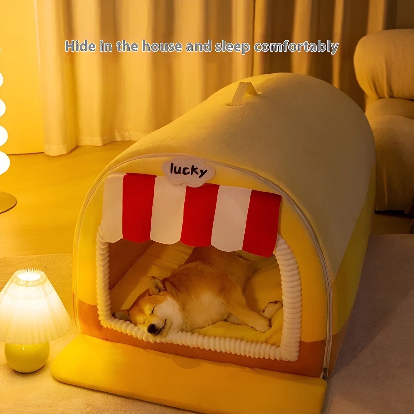 Large painted dog bed with sponge cushion in Lomi Brown Coffee colour, shown in an L size for big dogs.