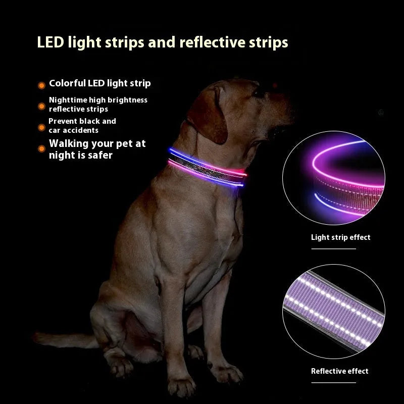Blue and green plaid LED luminous dog collar with reflective stripes, shown with USB charging cable.