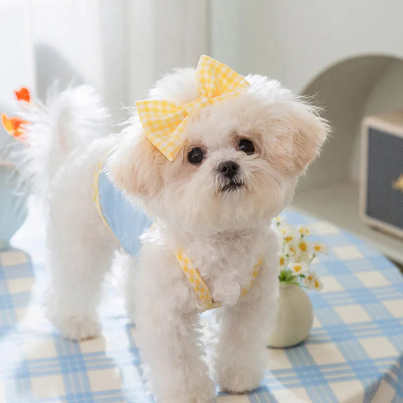 Small dog wearing heart texture bow suspenders vest in Bondi Blue colour